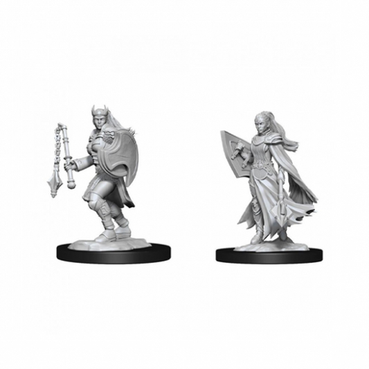 Kalashtar Cleric Miniature