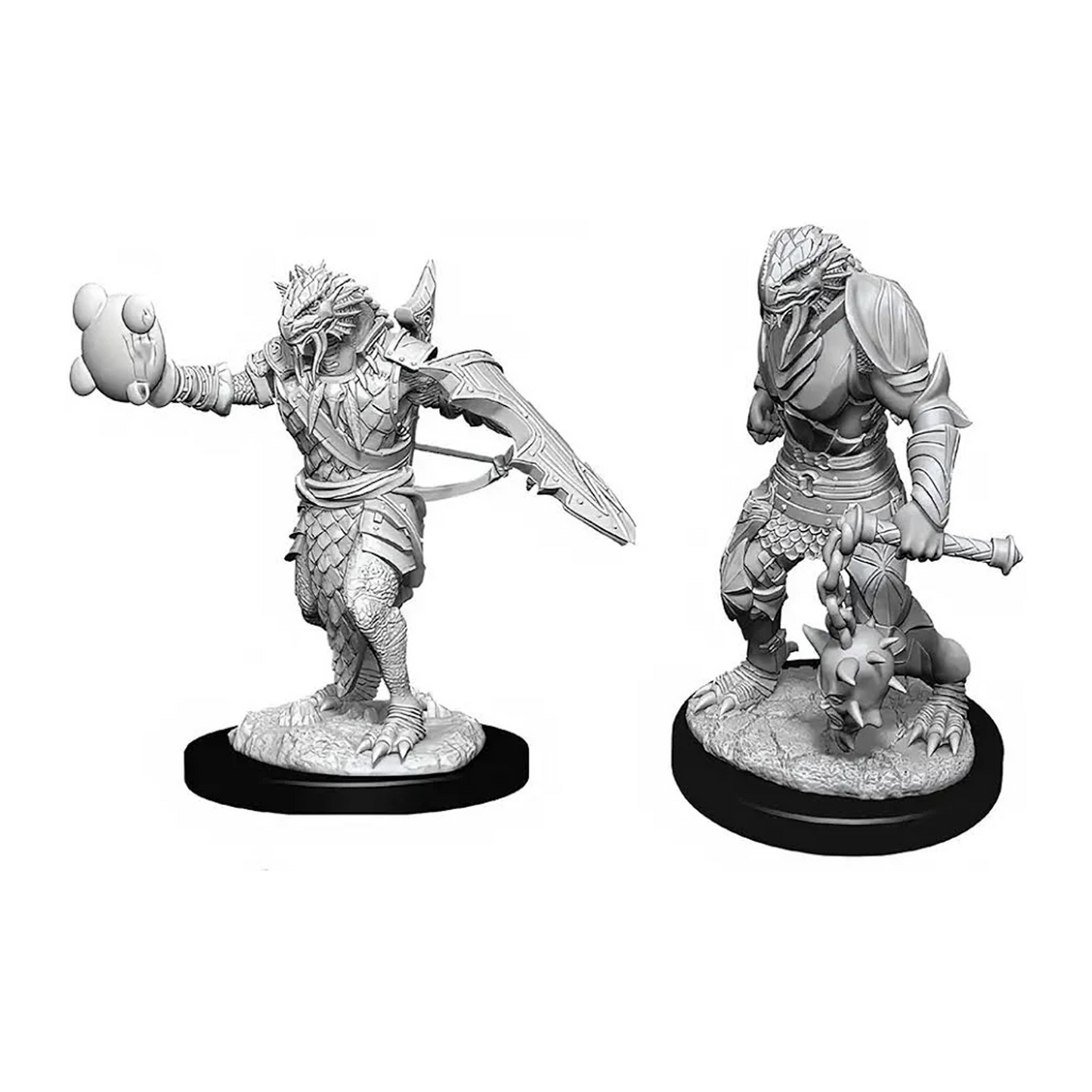 Male Dragonborn Paladin Miniature