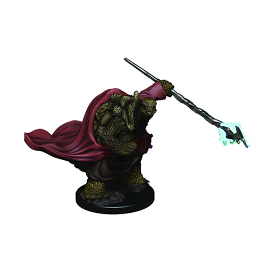 Tortle Monk Painted Miniature